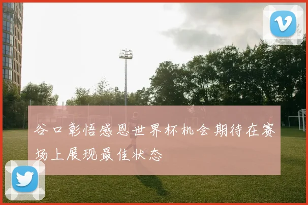 谷口彰悟感恩世界杯机会期待在赛场上展现最佳状态